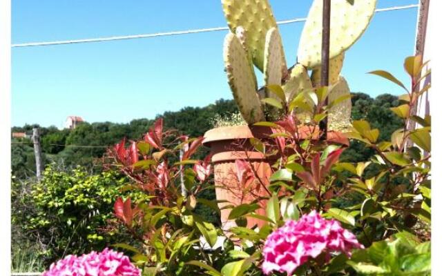 Villa Zafferano Suites