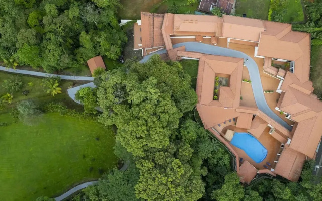Serenity Rainforest Condos