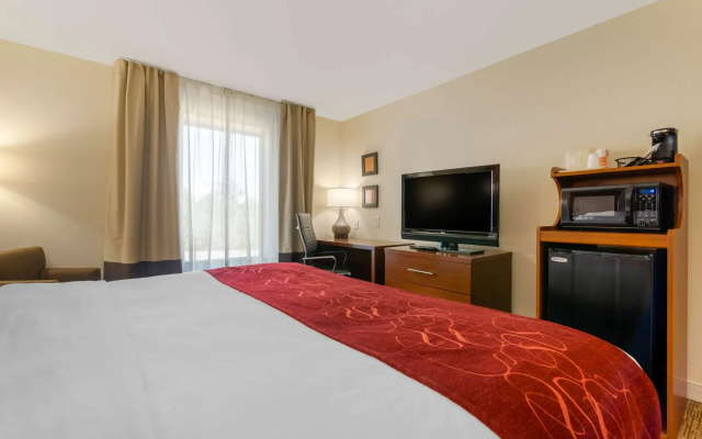 Comfort Inn & Suites Macon West