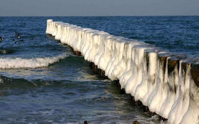 Nice Apartment With Wifi