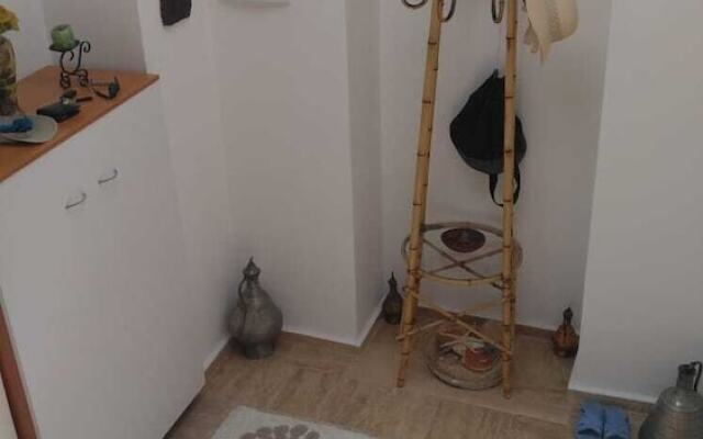 BO079 by Villaofsummer