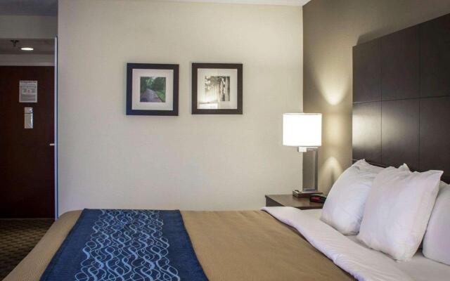 Comfort Inn Fuquay Varina