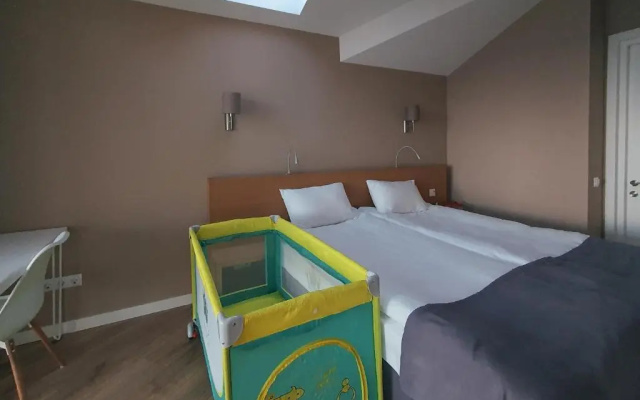 George Snow Apartments in New Gudauri - fireplace, 50m to Gondola lift