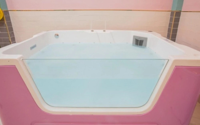 Gapyeong Baby Angel Spa Pension