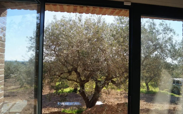 Sa Tanca De Mannoi