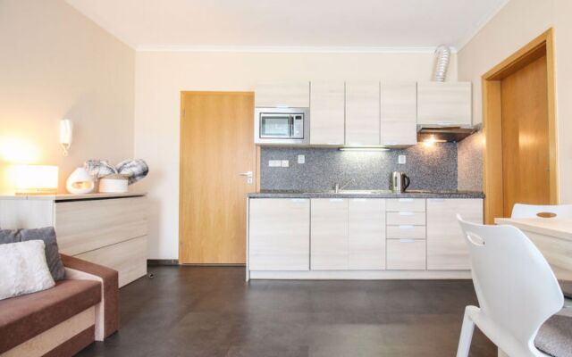 Apartmán B Harrachov