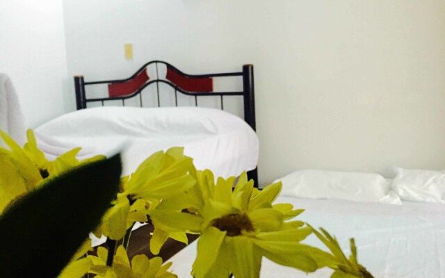Bananas Hostel