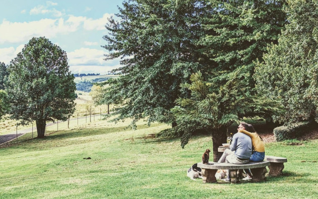 The FarSide Country Manor