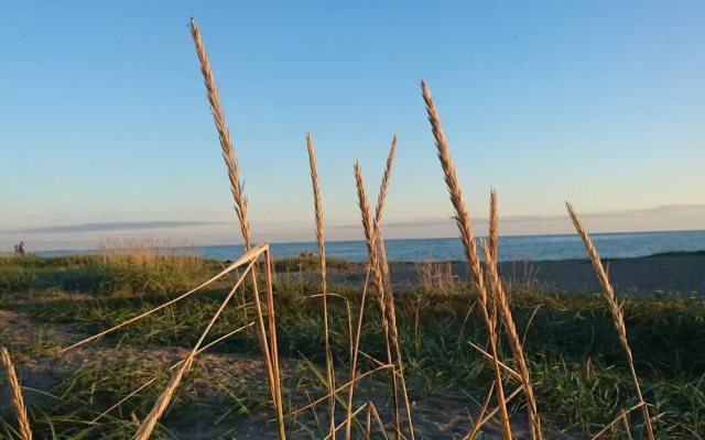 Tasteful Holiday Home in KarrebÃ¦ksminde near Sea