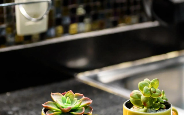 Pineapples BC101 - Estiloso apartamento em Copacabana