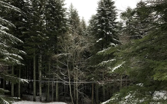 Appartamenti Boscolungo