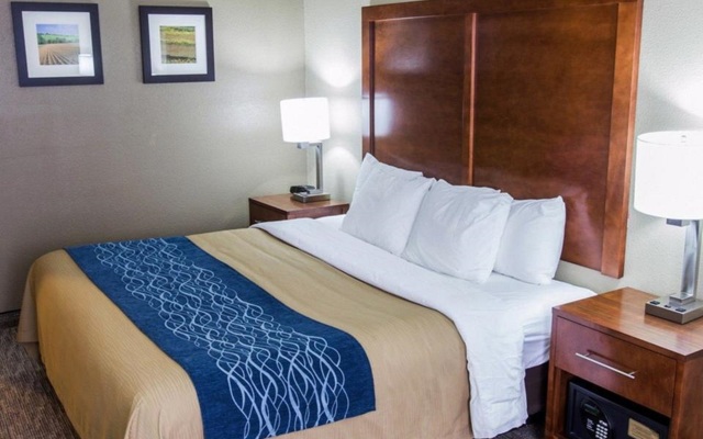 Comfort Inn Ottawa