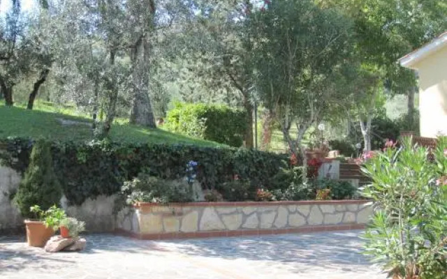 Valle degli Ulivi