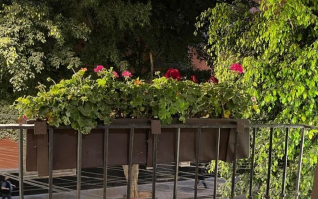 Casa Donceles, Spacious apartments ideal for families "Centro Prime Location"
