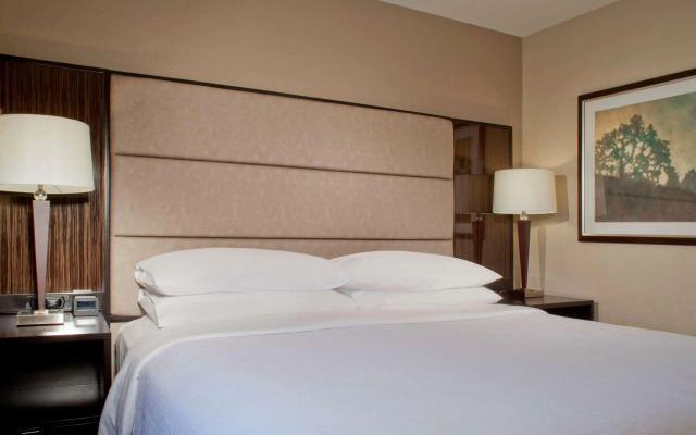 Embassy Suites by Hilton Houston Near the Galleria