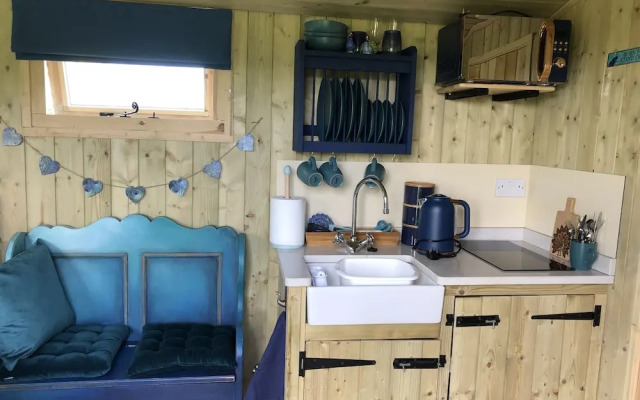 The Peacock Shepherds Hut at Hafoty Boeth