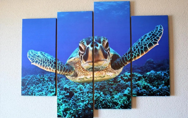Tortuga Flat