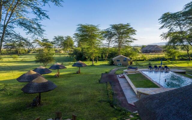 Africa Safari Lake Manyara