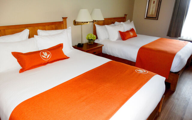 Quality Inn & Suites Amsterdam