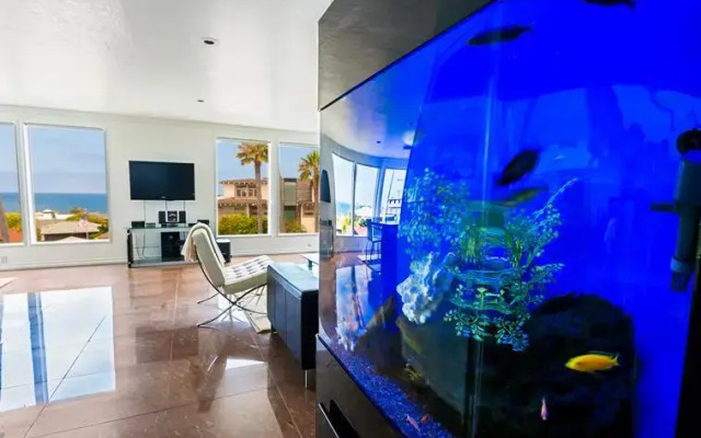 Ocean Oasis