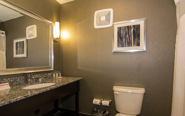 Holiday Inn Carlsbad by IHG