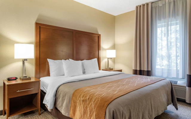 Comfort Inn & Suites Suwanee - Sugarloaf