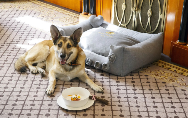 Hotel Bristol, a Luxury Collection Hotel, Vienna