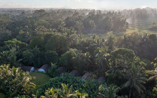 Sacred Canyon Ubud by Pramana Villas