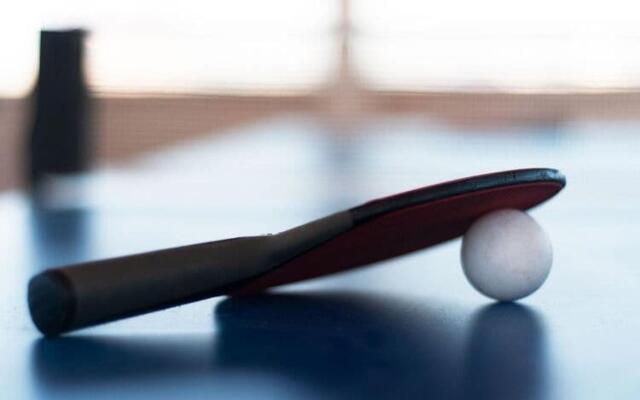 Comfortable Premium Class Apartment, Shared Swimming Pool, Gaski