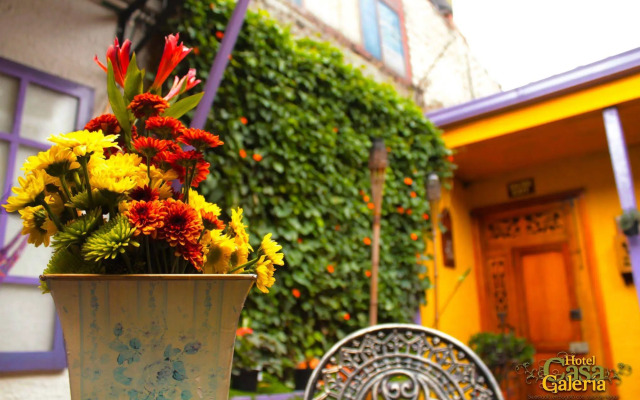 Hotel Casa Galeria