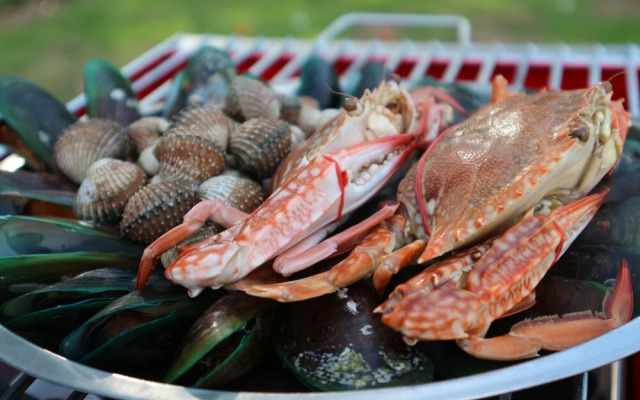 The Rubber Tree Resort