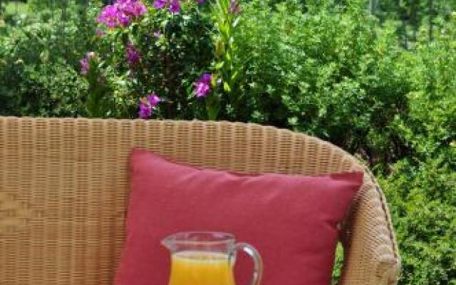 Hotel Erna