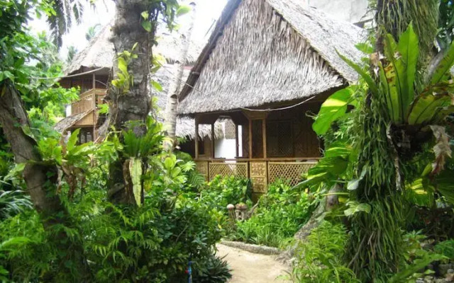 Melinda's Garden