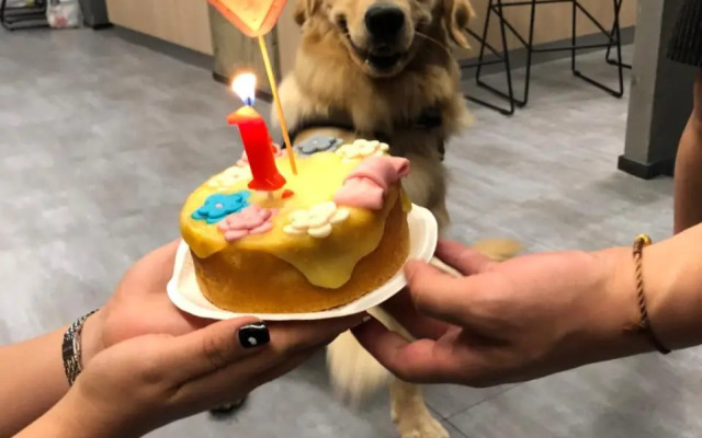 Chengdu Desti Youth Park Hostel