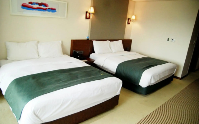 The Soom Forest Hotel