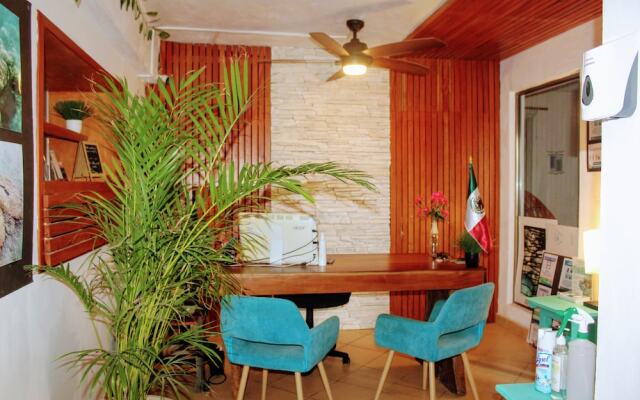 Pata de Perro Bacalar