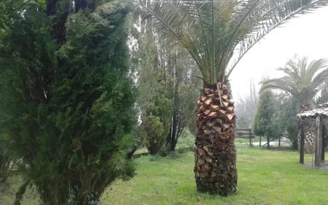 agriturismo curatola