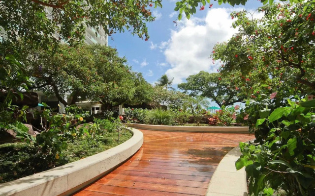 Ilikai 1902 - Studio Condo