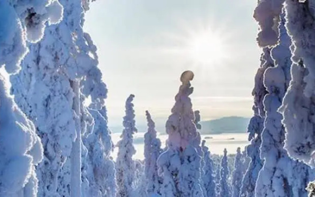 Suomu Chalets