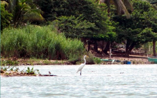 Jardines Los Cormoranes