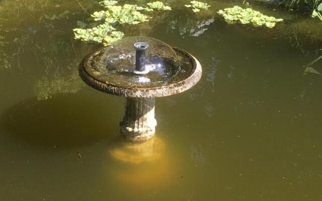 Le Belv¿re, studio ind¿ndant