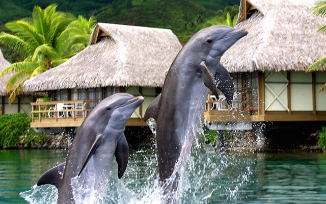 Intercontinental Moorea Resort & Spa