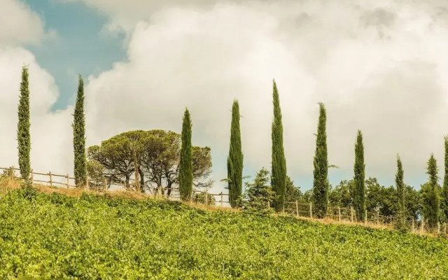Dievole Wine Resort