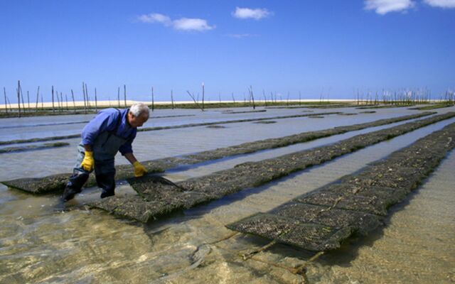 Holiday Inn Bordeaux Sud - Pessac by IHG