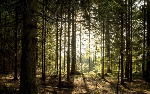 Hostel LOst - Ostello di Grumes