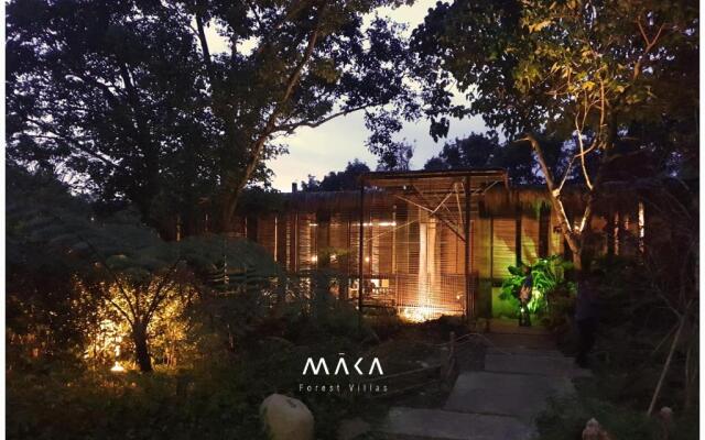Maka-Kalinaw 5 Wabi sabi Room, Forest Deck View