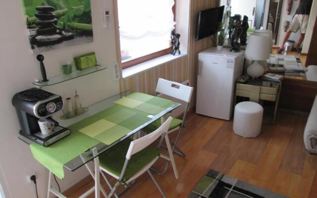 APARTMENT " Studio Green "