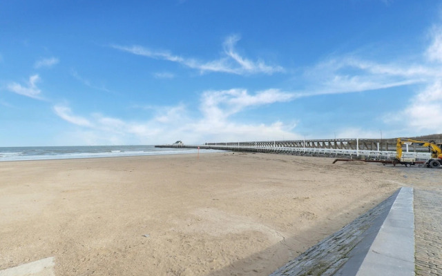 Pleasant Apartment Near the Beach