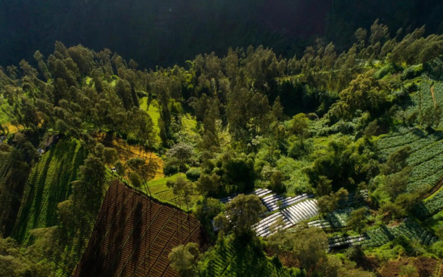 Plataran Bromo