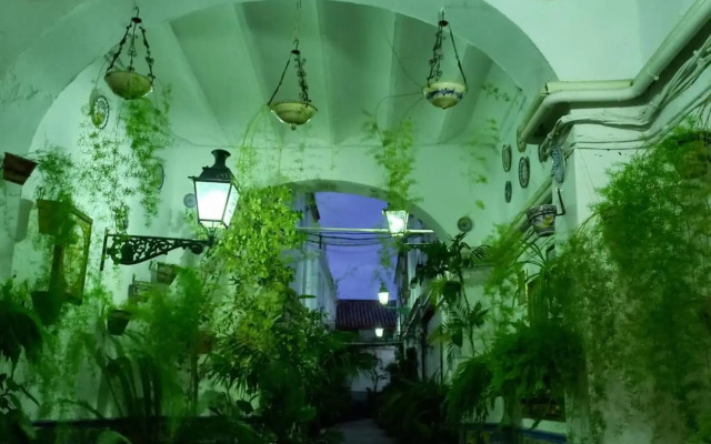 Charming House in Triana,best City View from Patio